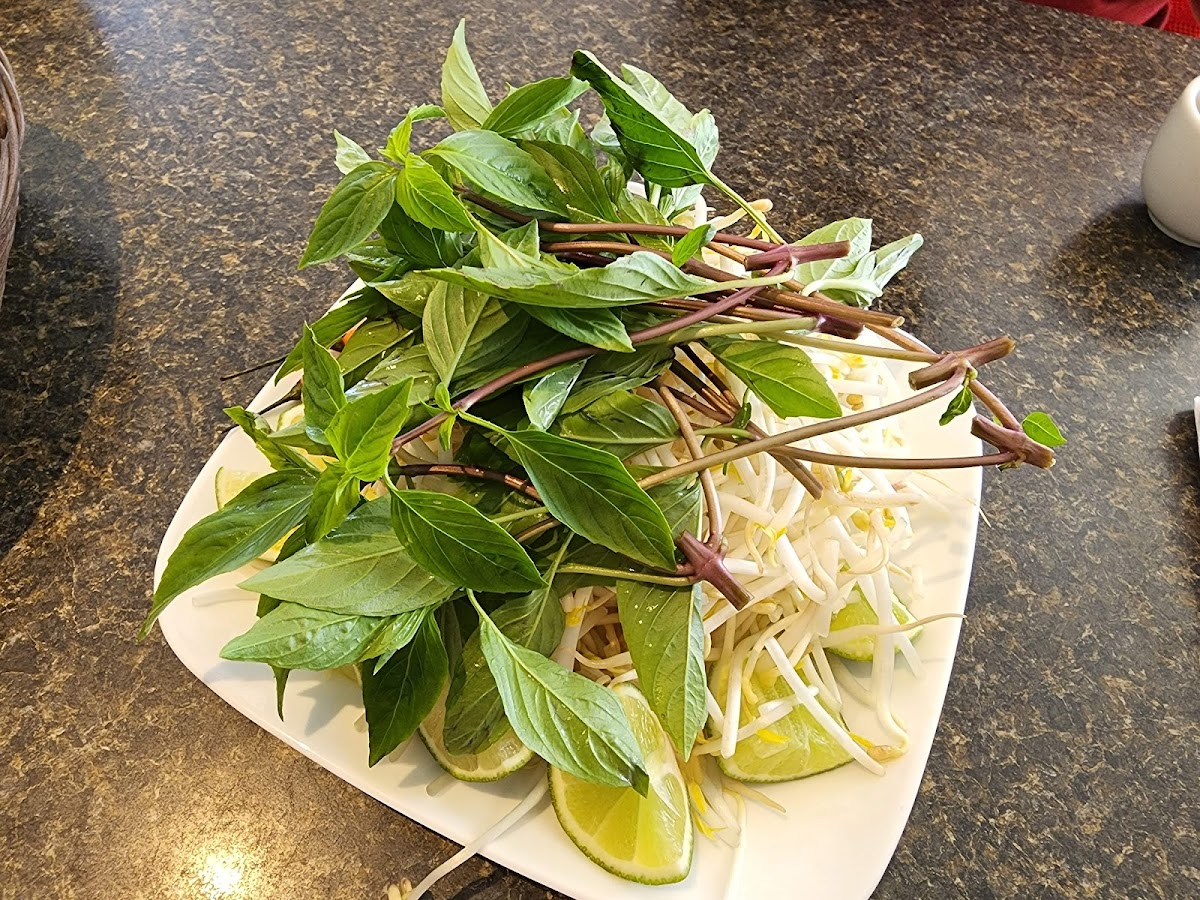 Phở Nguyễn Hoàng - 7