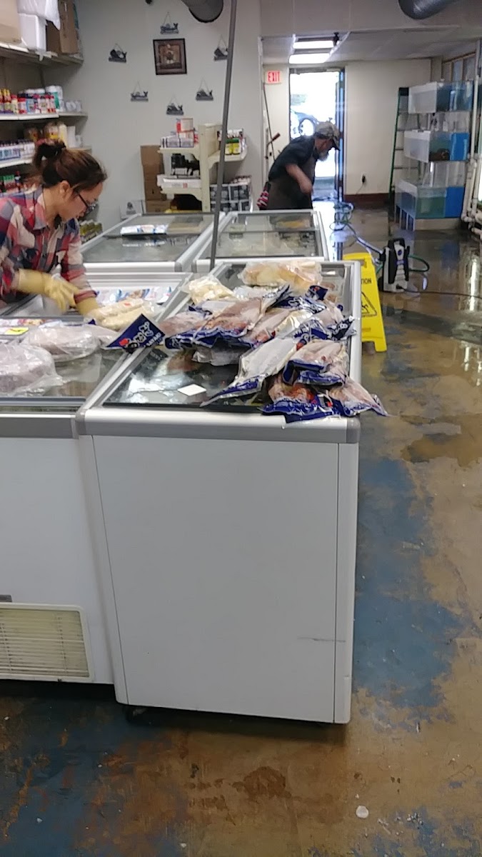 Central Fish Market - 10
