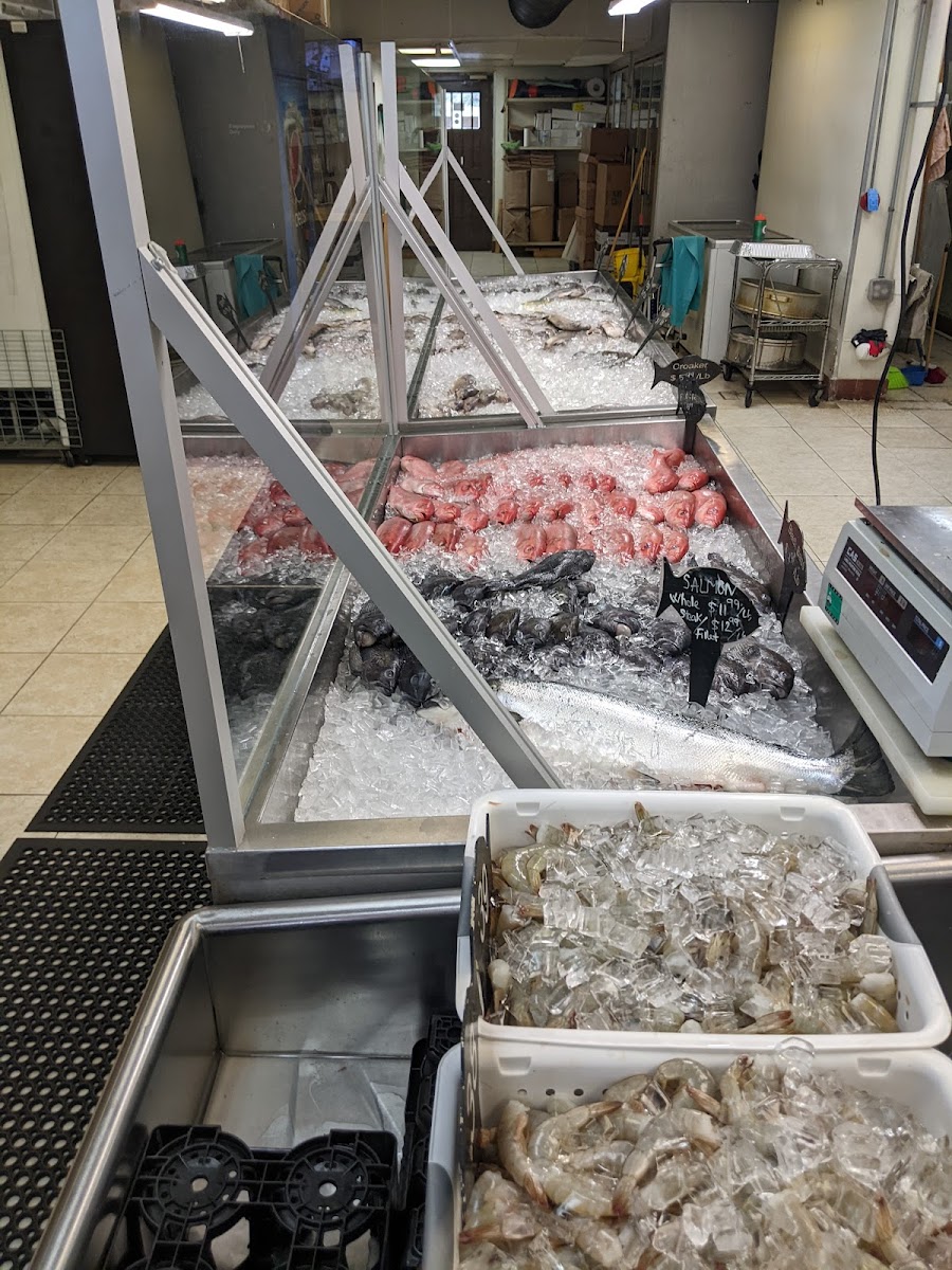 Central Fish Market - 5