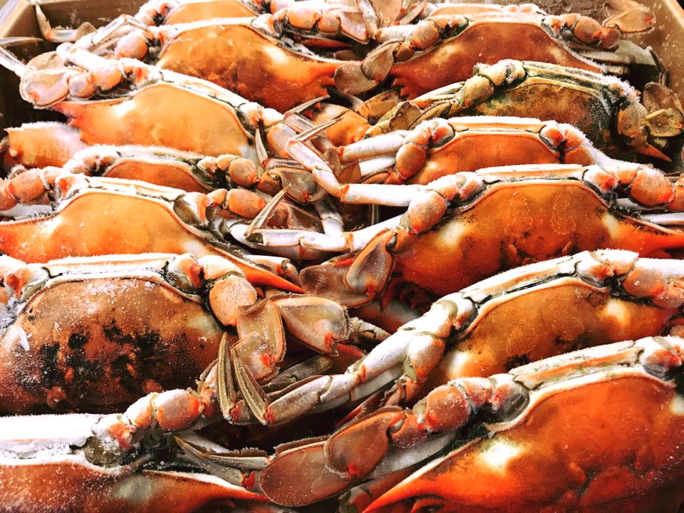 Central Fish Market - 9
