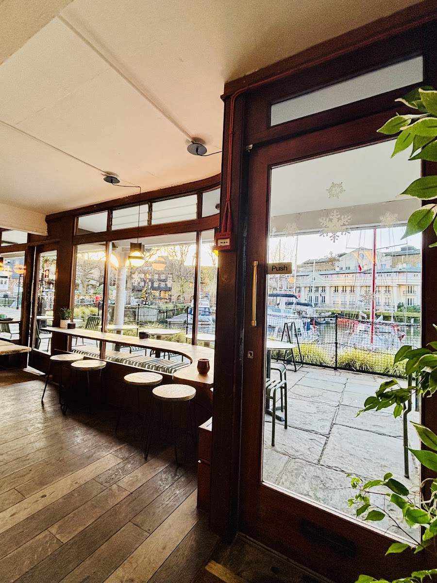 White Mulberries - 10