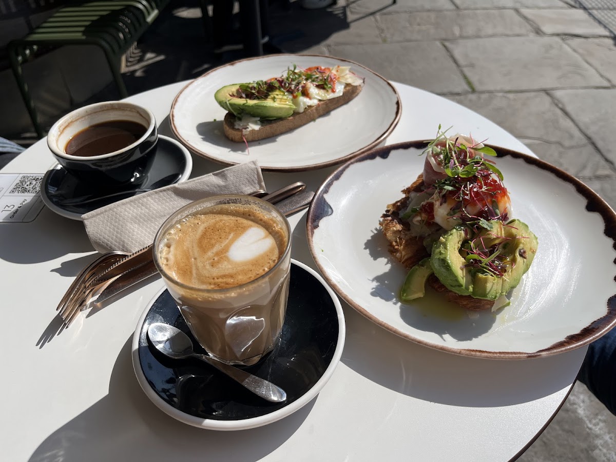 White Mulberries - 6