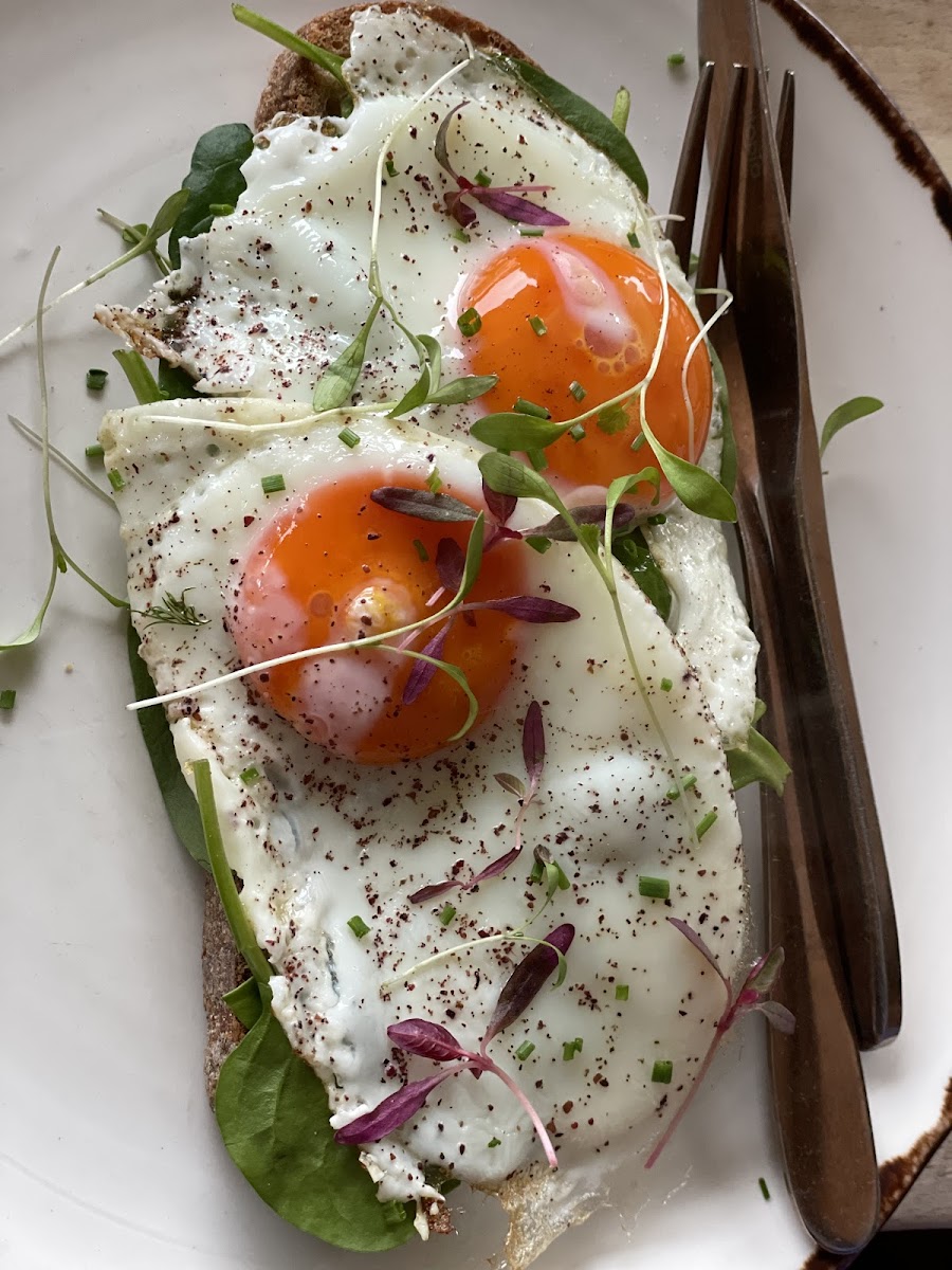 White Mulberries - 7