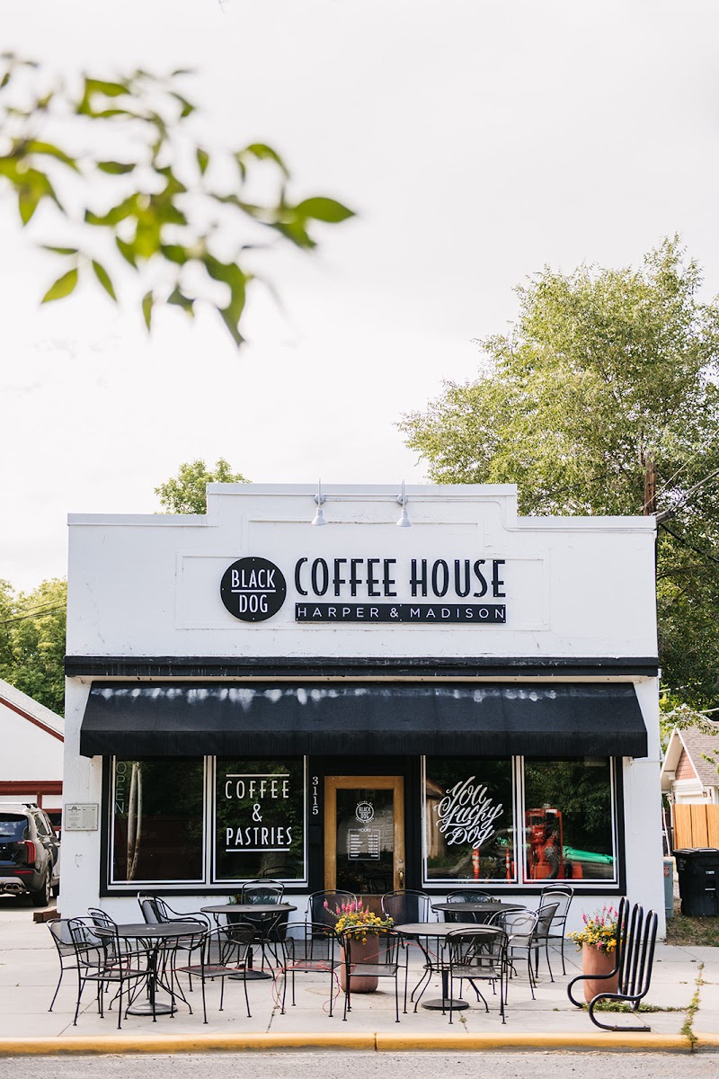 Black Dog Coffee House x 10th Ave - 1