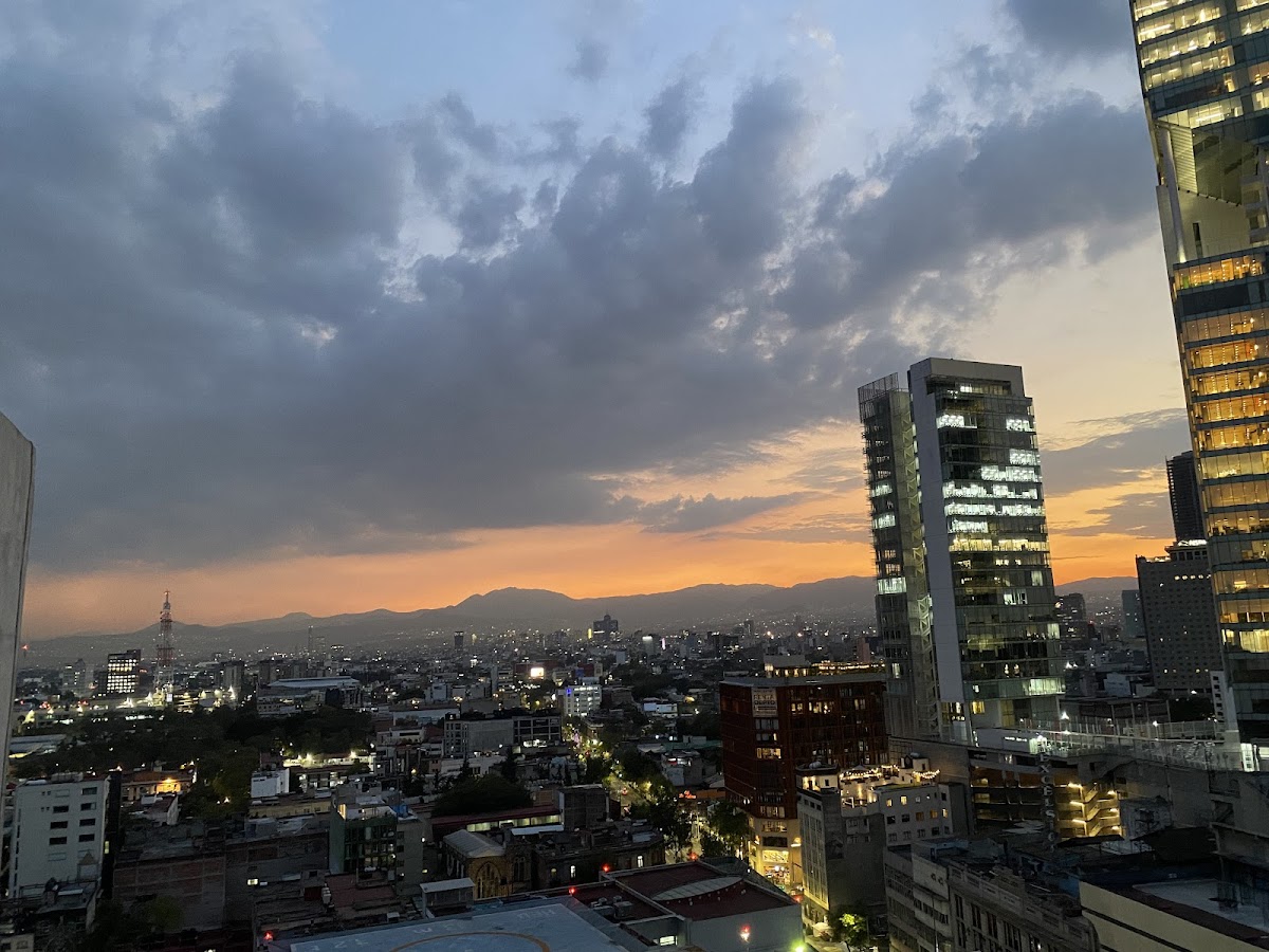Faunna Rooftop - 6
