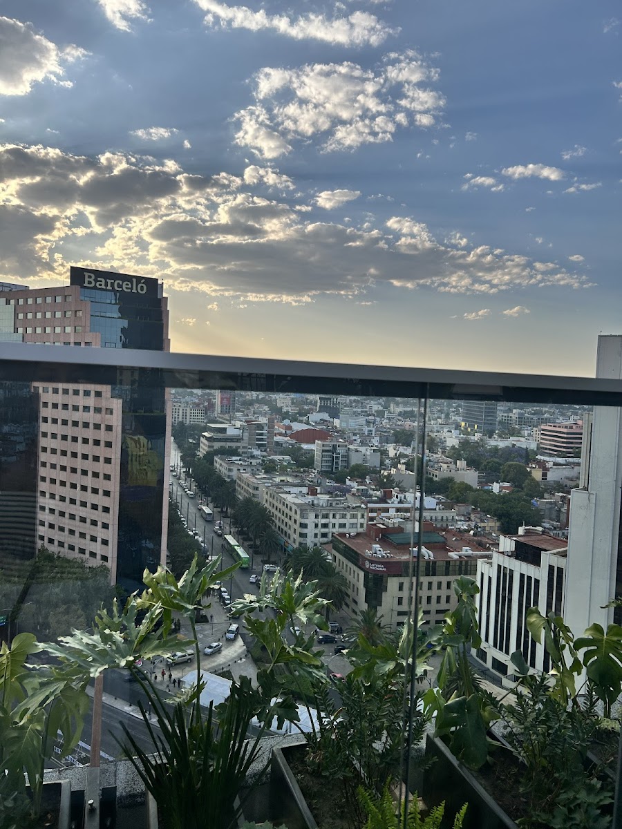 Faunna Rooftop - 8