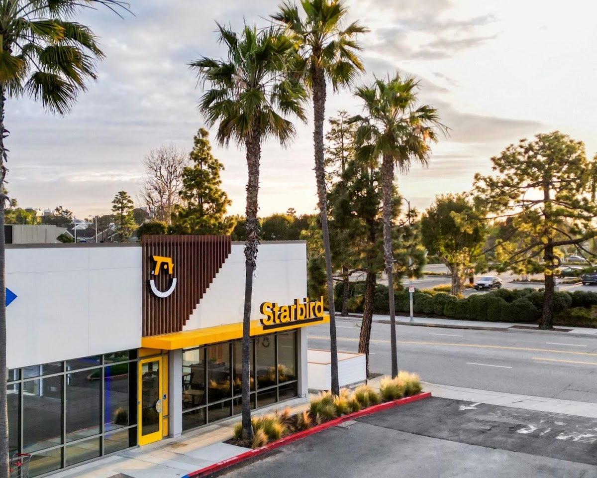 Starbird Chicken - 4
