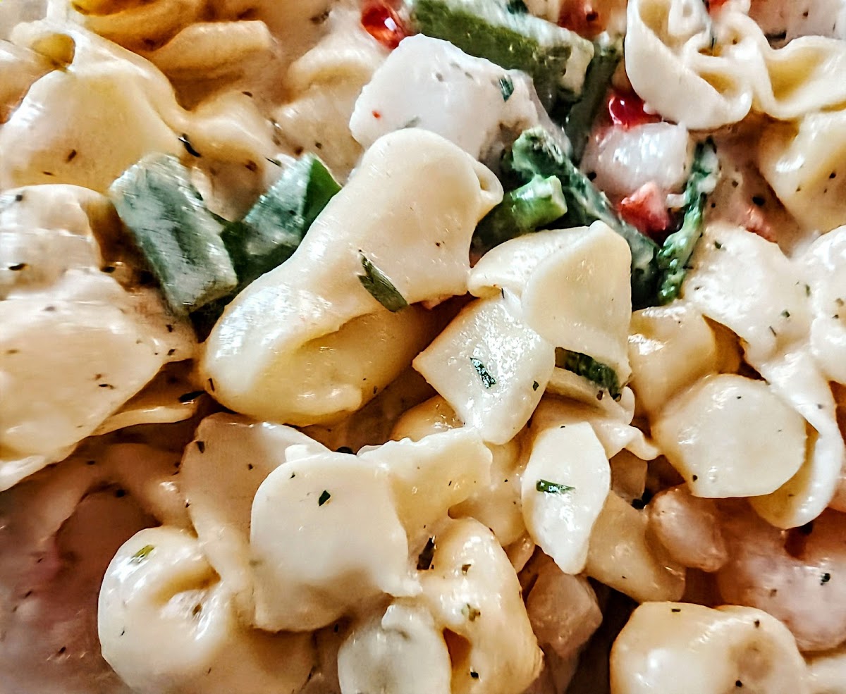 The Pasta House - 10
