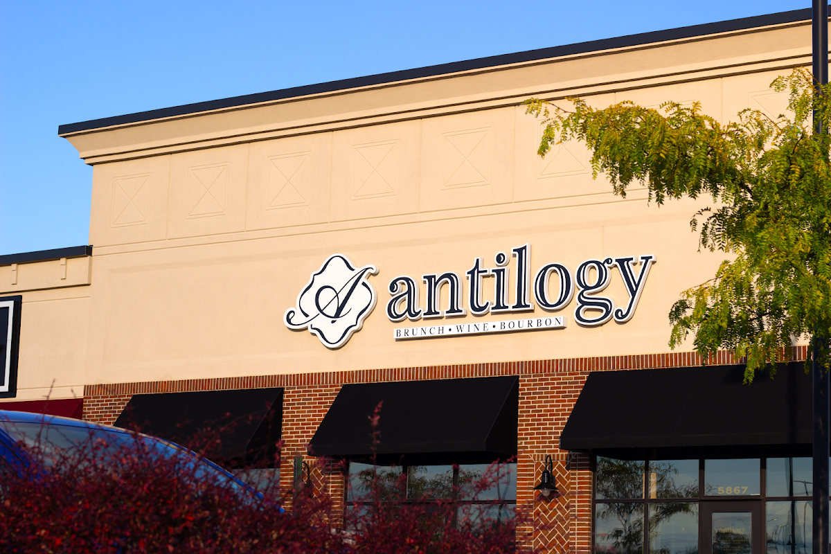 Antilogy - 1