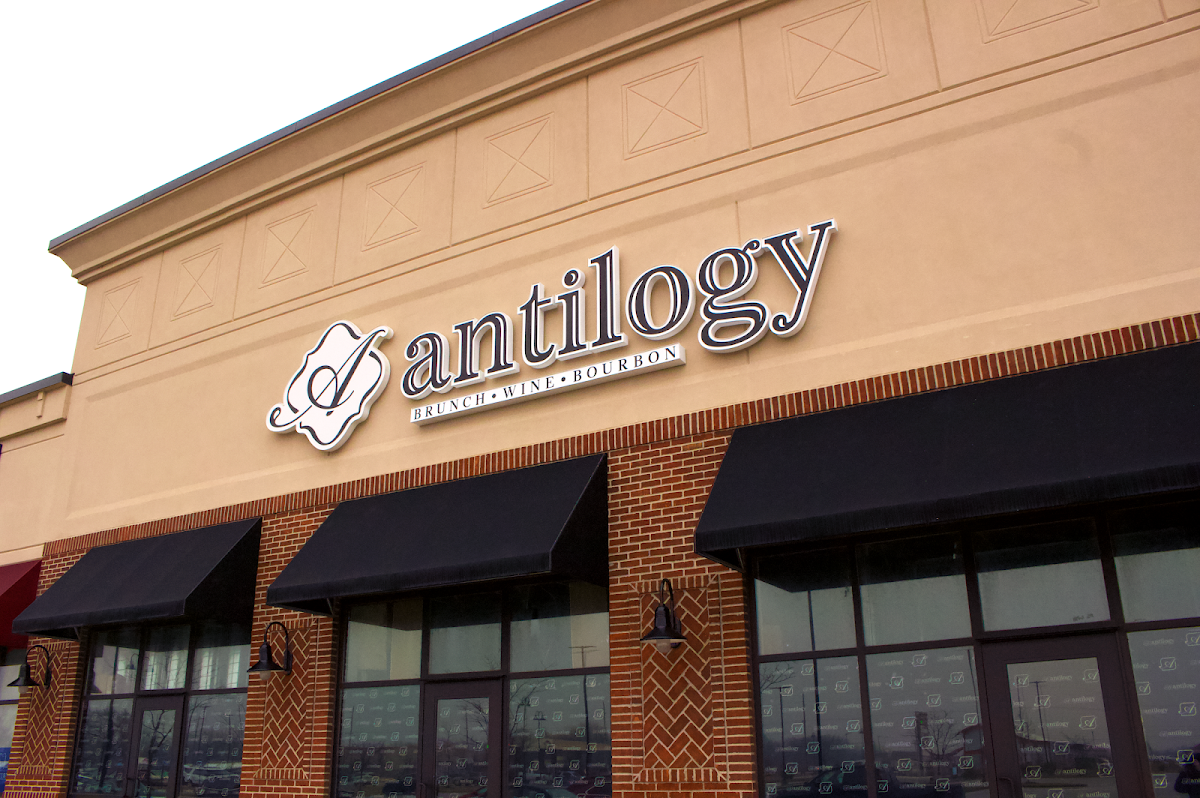 Antilogy - 6