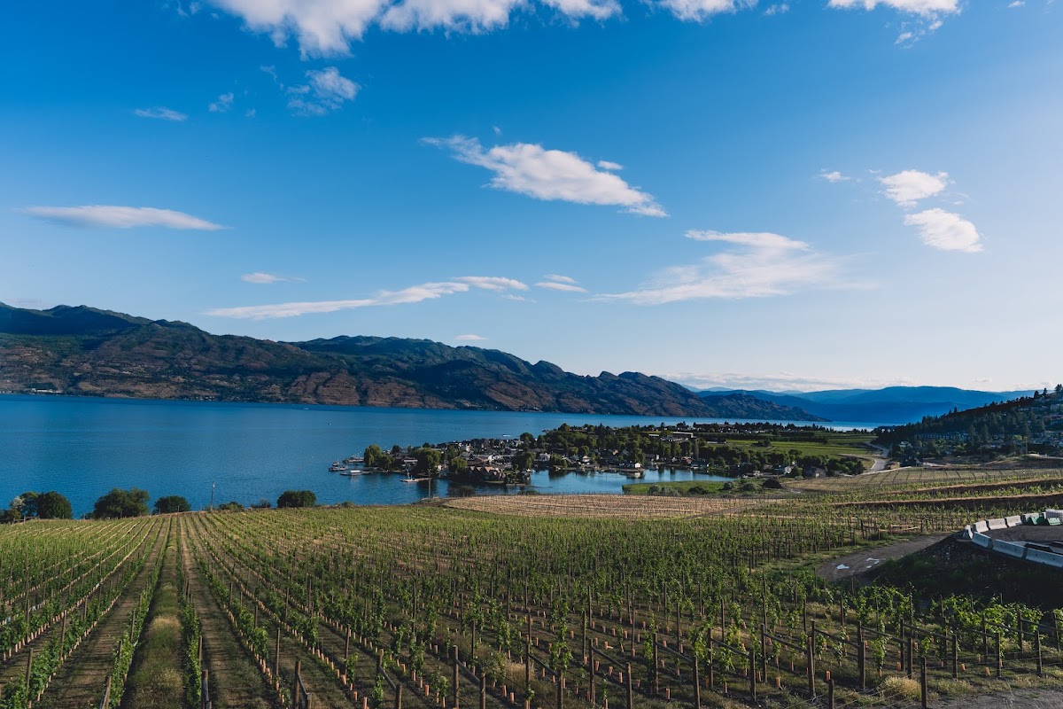Old Vines Restaurant @ Quails' Gate Winery - 3