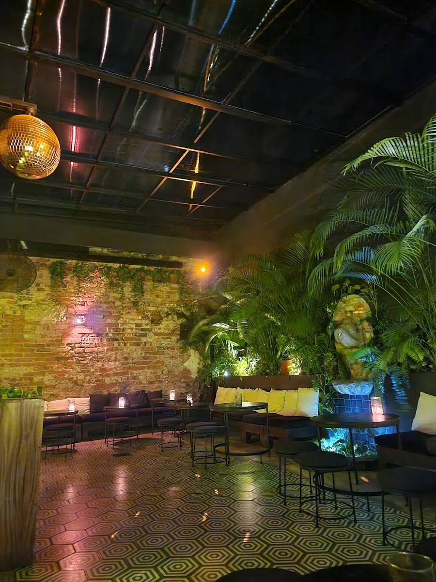 El Colibrí Cocktail Bar - 6