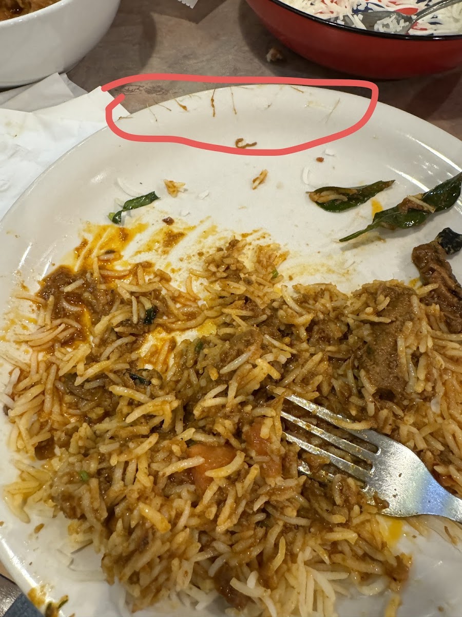 Sindhu Indian Cuisine - 7