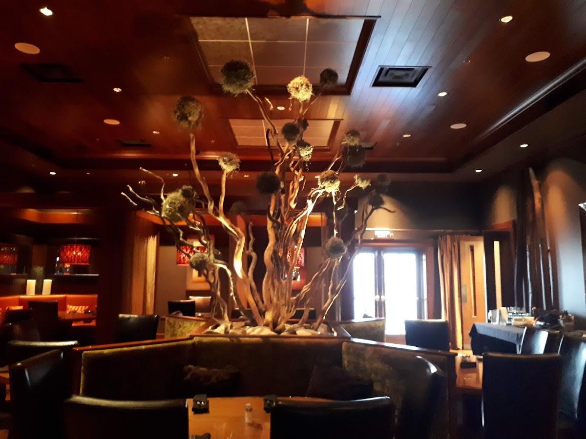 Cypress Restaurant - 3