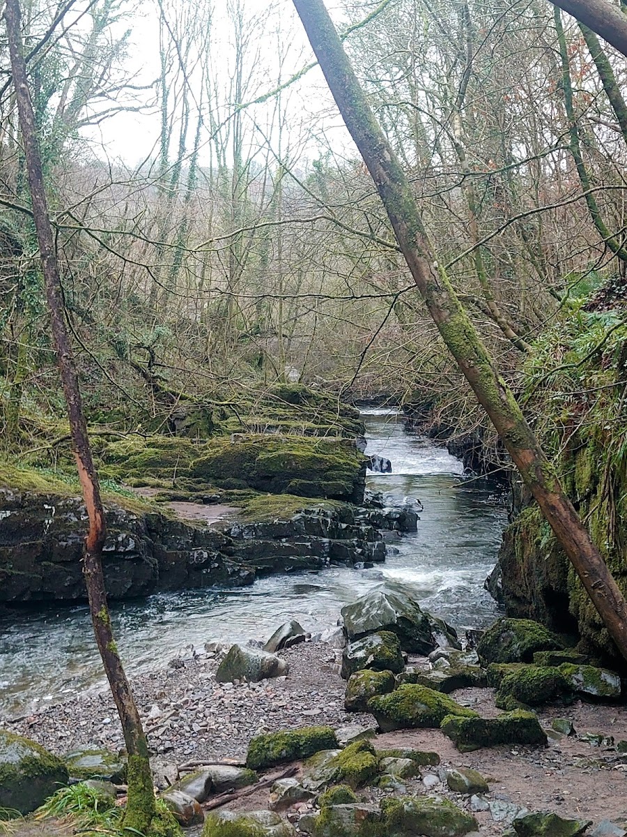 Sgwd Gwladys - 6