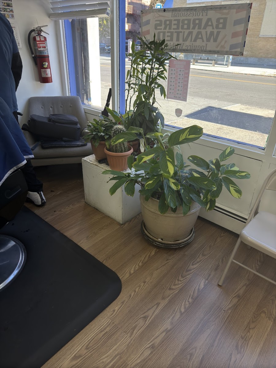 King Kutz Barber Shop - 6