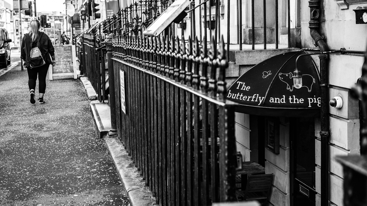 The butterfly and the pig - 1