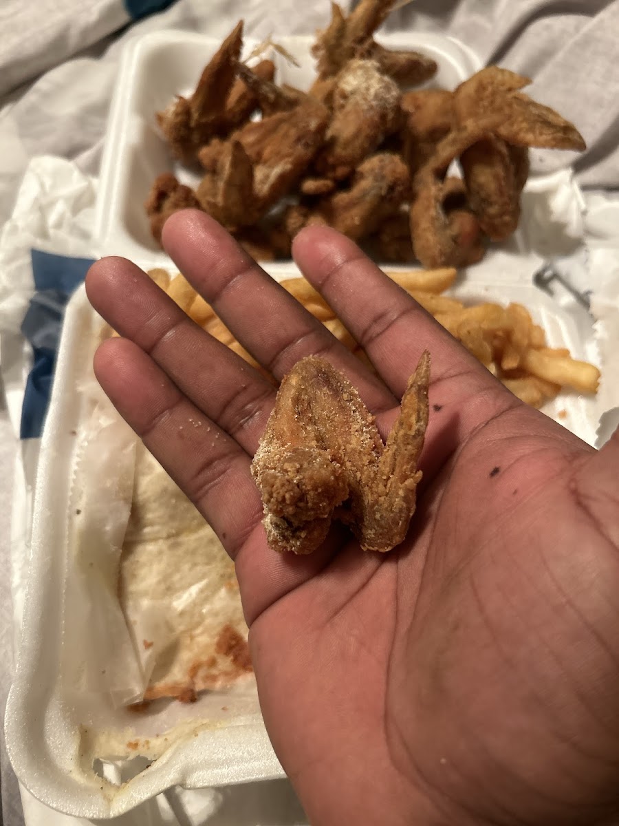 Blue Dolphin's Fish & Chicken - 2