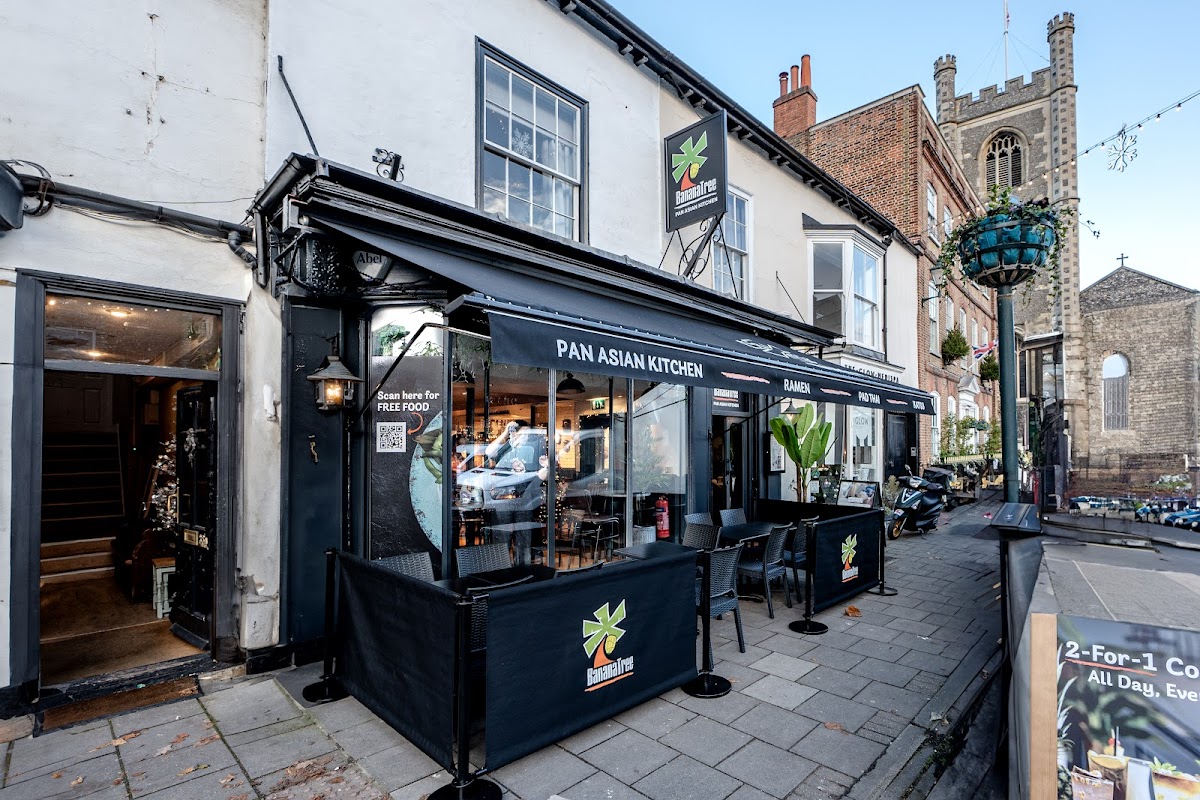 Banana Tree Henley - 7