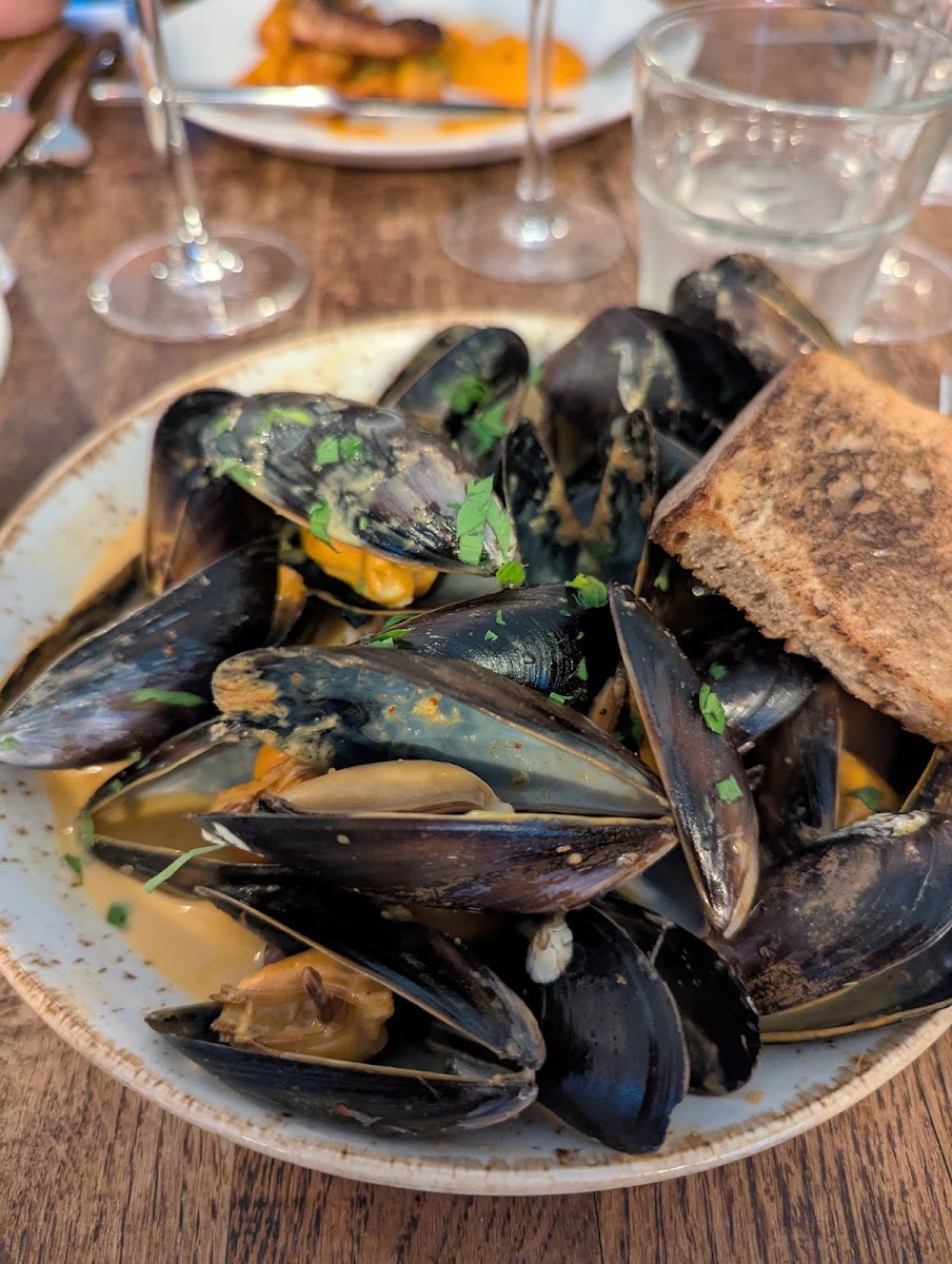 The Oystercatcher - 10