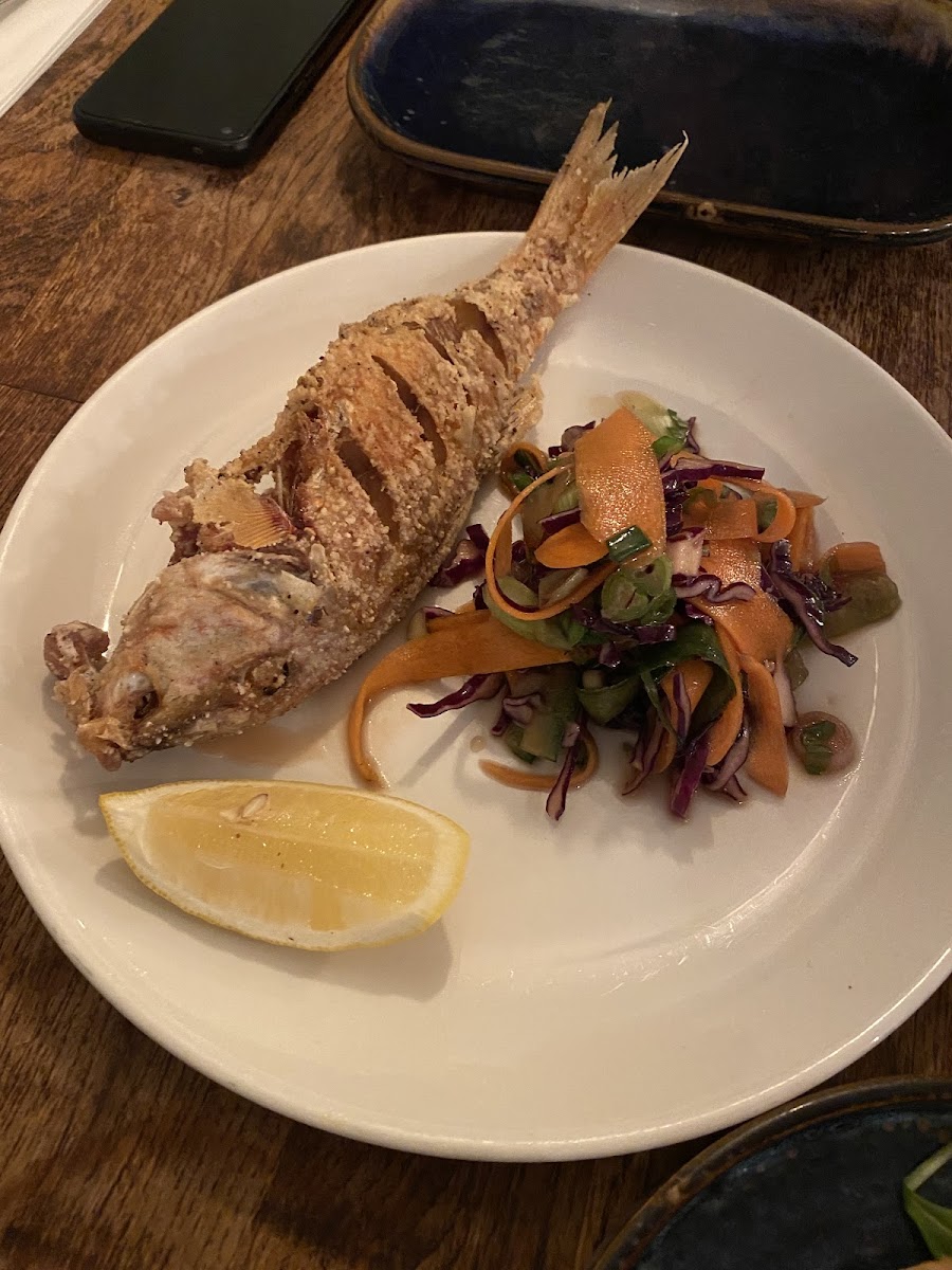 The Oystercatcher - 6