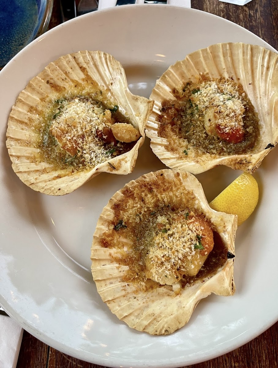 The Oystercatcher - 9
