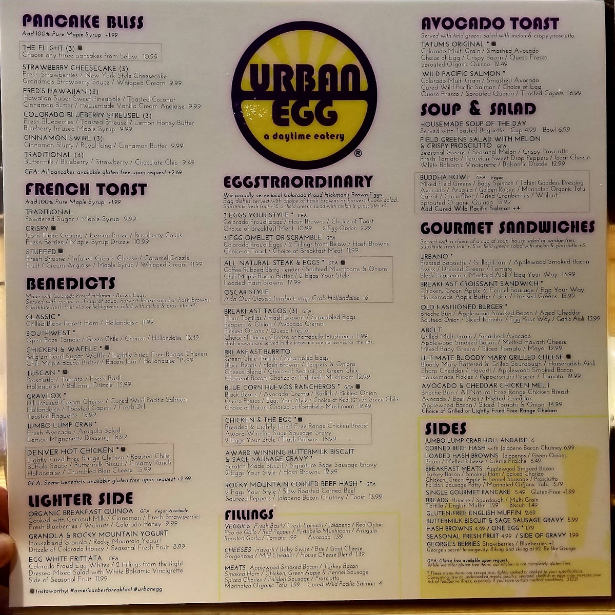 Urban Egg - 8