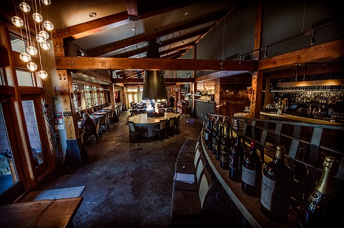 Barking Frog - 1