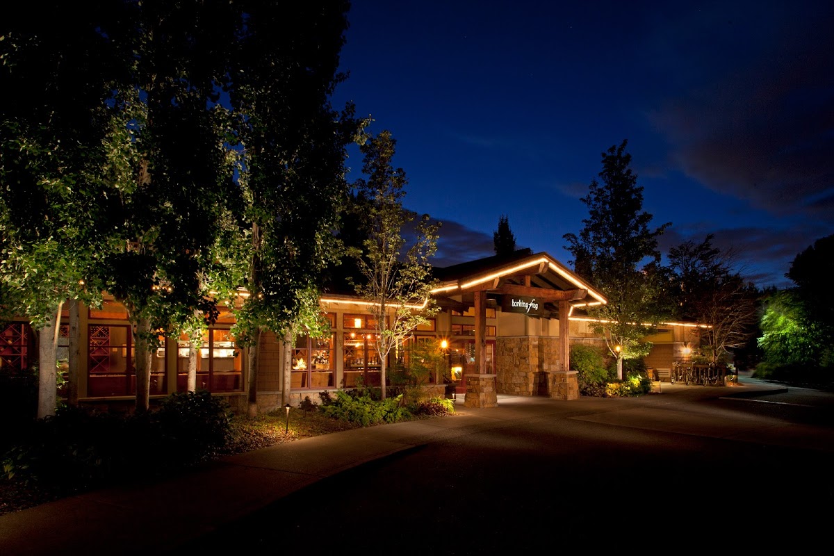 Barking Frog - 4