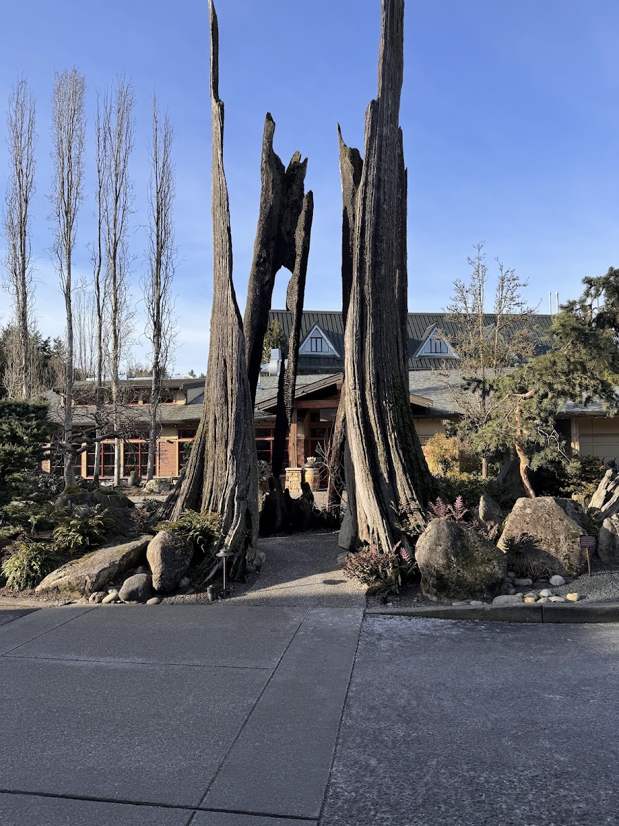 Barking Frog - 8