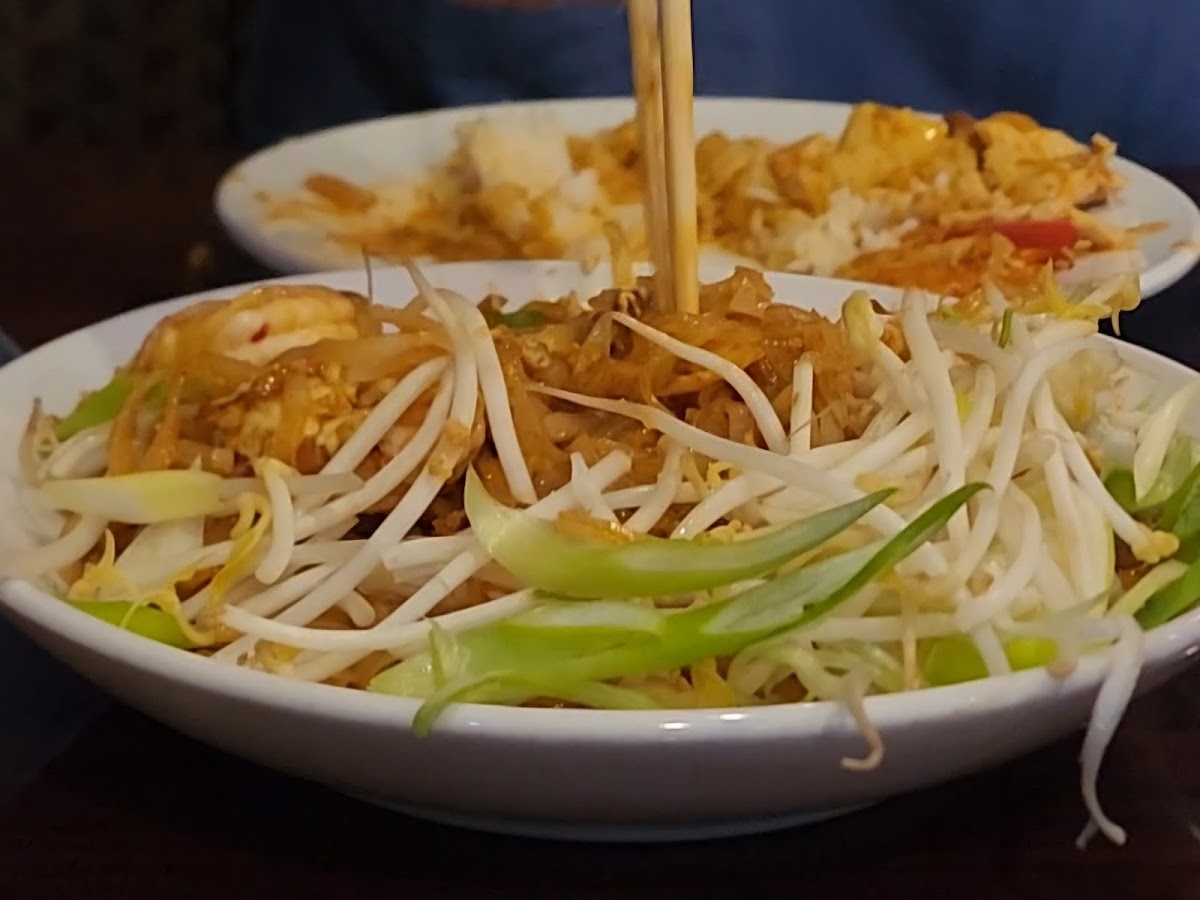 Thai Cuisine & Noodle House - 7